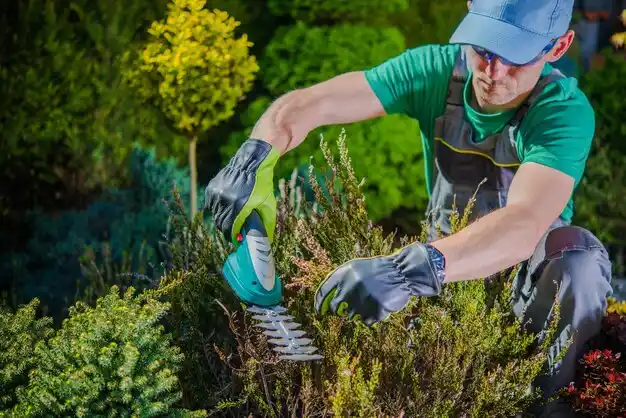 landscaping services Onsted